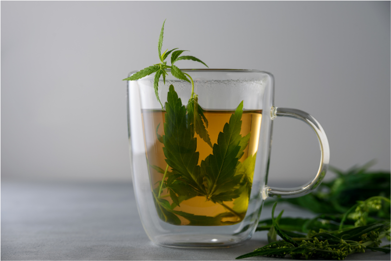 Cannbis tea