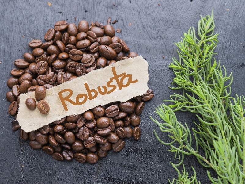 Robusta Coffee